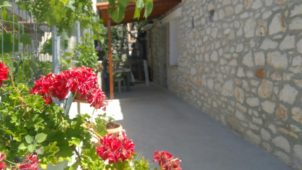 מלון הימארה Stone House מראה חיצוני תמונה